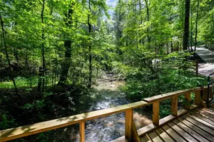 10323 Grassy Mountain Rd, Ellijay, GA 30540 - Photo 24