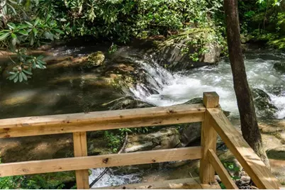 10323 Grassy Mountain Road, Ellijay, GA 30540 - Photo 94