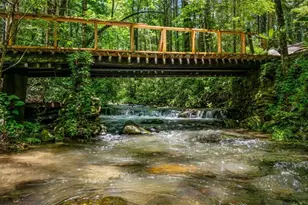 10323 Grassy Mountain Rd, Ellijay, GA 30540 - Photo 8