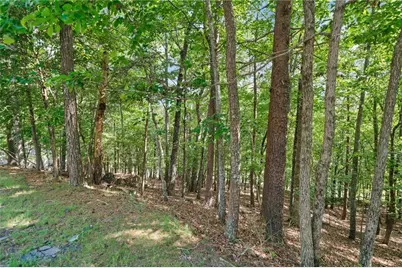 142 Red Cloud Drive, Waleska, GA 30183 - Photo 12