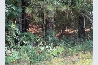 0 Amanda Court, Greenville, GA 30222 - Photo 2