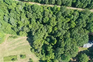 995 Lumpkin Cmpgd Road N, Dawsonville, GA 30534 - Photo 4