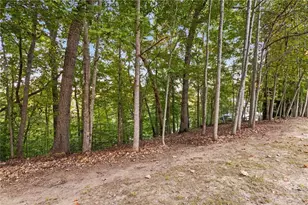 Lot 4 Fredericks Cove, Dawsonville, GA 30534 - Photo 14