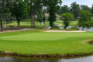 910 Sundown Point, Villa Rica, GA 30180 - Photo 76