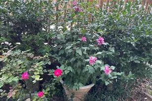 8436 Magnolia Dr, Jonesboro, GA 30238 - Photo 30