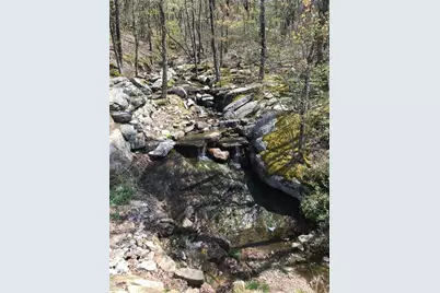 281 Vista View Parkway, Jasper, GA 30143 - Photo 16