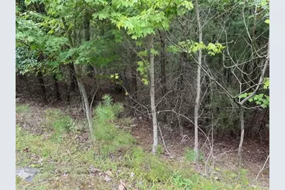 281 Vista View Parkway, Jasper, GA 30143 - Photo 6