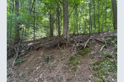 0 Mountain View Court, Ellijay, GA 30536 - Photo 1