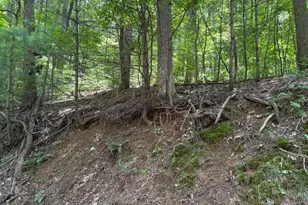 0 Mountain View Ct, Ellijay, GA 30536 - Photo 1