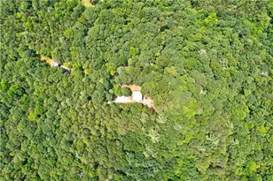 62 Peach Ln, Ellijay, GA 30536 - Photo 54