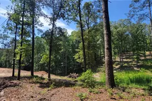 64 Beacon Pl, Dallas, GA 30132 - Photo 1