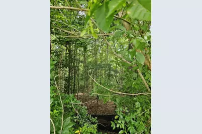 4015 Fouts Drive, Cumming, GA 30028 - Photo 6