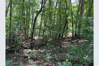 0 Lavender Trail, Rome, GA 30165 - Photo 4