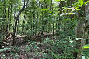 0 Lavender Trail, Rome, GA 30165 - Photo 1