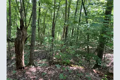 0 Lavender Trail, Rome, GA 30165 - Photo 2