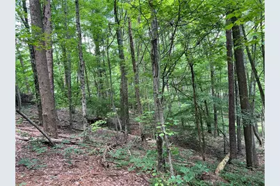 0 Lavender Trail, Rome, GA 30165 - Photo 20