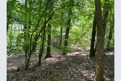 0 Lavender Trail, Rome, GA 30165 - Photo 10