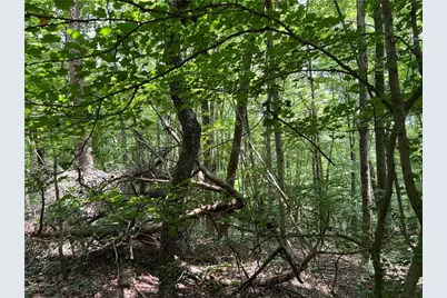 0 Lavender Trail, Rome, GA 30165 - Photo 12