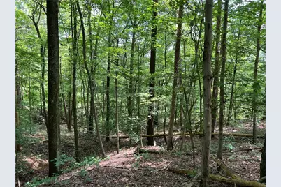 0 Lavender Trail, Rome, GA 30165 - Photo 16