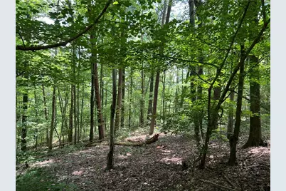 0 Lavender Trail, Rome, GA 30165 - Photo 8