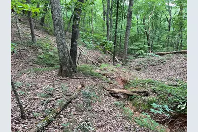 0 Lavender Trail, Rome, GA 30165 - Photo 34