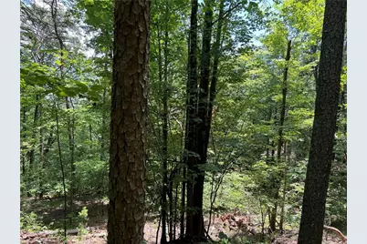 0 Lavender Trail, Rome, GA 30165 - Photo 28