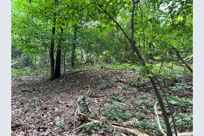 0 Lavender Trail, Rome, GA 30165 - Photo 18