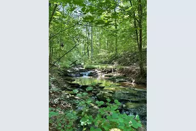 0 Hidden Creek Road, Jasper, GA 30143 - Photo 6