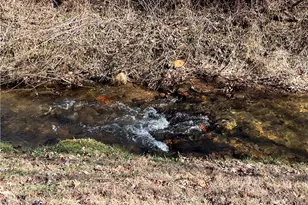 109 Lauren Dr, Blairsville, GA 30512 - Photo 6