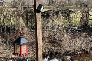 109 Lauren Dr, Blairsville, GA 30512 - Photo 8