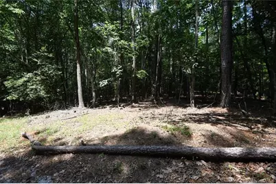 3269 Callie Still Road, Lawrenceville, GA 30045 - Photo 4