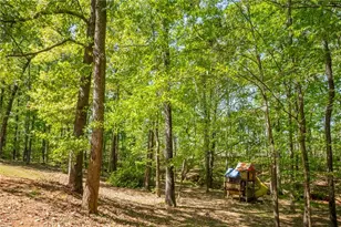 160 Vinny's Way, Covington, GA 30014 - Photo 46