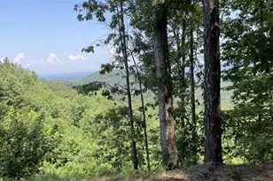 1588 Paladin Dr, Ranger, GA 30734 - Photo 1