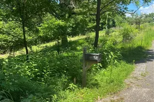 1437 Porter Springs, Dahlonega, GA 30533 - Photo 8