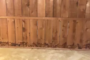 352 N Peak Dr, Alpharetta, GA 30022 - Photo 22