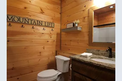 101 Hothouse Drive, Mineral Bluff, GA 30559 - Photo 46