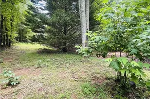 95 Hill Crest Ct, Cleveland, GA 30528 - Photo 22