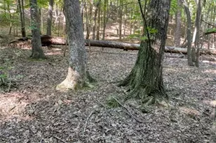 90 Cardinal Cove, Big Canoe, GA 30143 - Photo 1