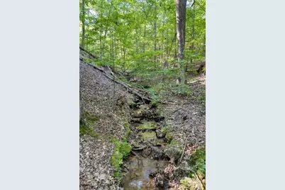 90 Cardinal Cove, Big Canoe, GA 30143 - Photo 8