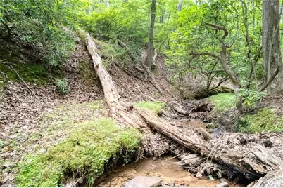 90 Cardinal Cove, Big Canoe, GA 30143 - Photo 4