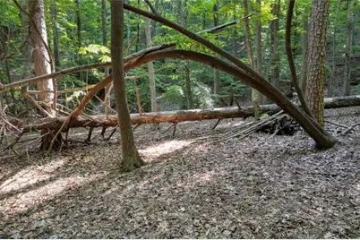 90 Cardinal Cove, Big Canoe, GA 30143 - Photo 6