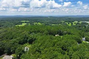 50 Hopkins Farm Dr, Adairsville, GA 30103 - Photo 52