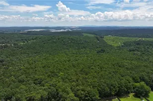 50 Hopkins Farm Dr, Adairsville, GA 30103 - Photo 50