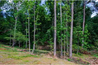 1136 Lexington Ridge Road, Hoschton, GA 30548 - Photo 70