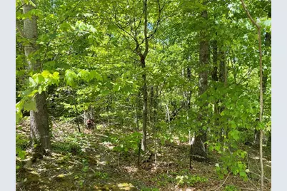 206 Northview Parkway, Ellijay, GA 30536 - Photo 52