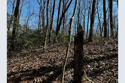 206 Northview Parkway, Ellijay, GA 30536 - Photo 24