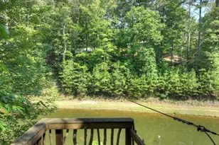 7843 W Hwy 382, Ellijay, GA 30540 - Photo 92