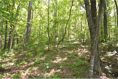 5960 Georgia Highway 120, Buchanan, GA 30113 - Photo 28