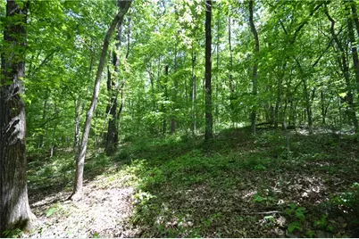 5960 Georgia Highway 120, Buchanan, GA 30113 - Photo 24