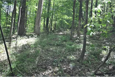 5960 Georgia Highway 120, Buchanan, GA 30113 - Photo 30